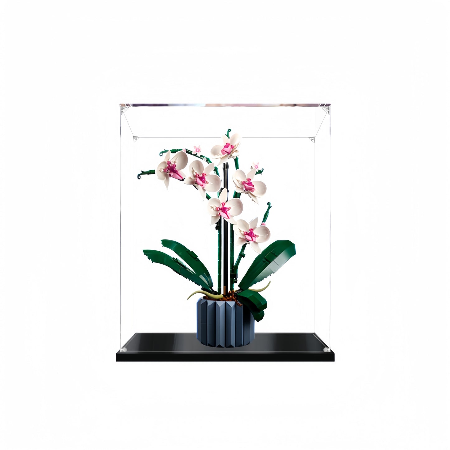 Acrylic Display Case for LEGO Orchid 10311