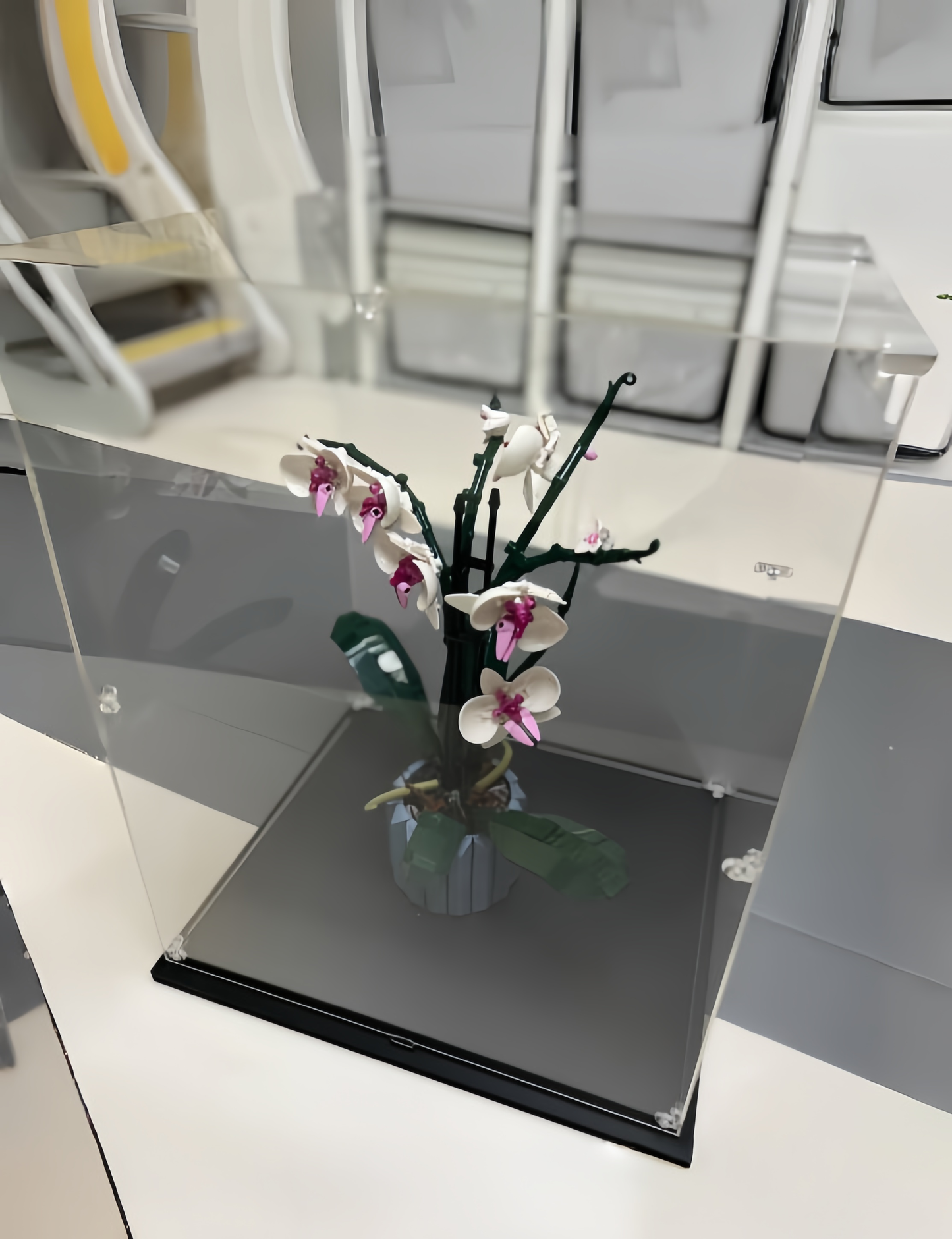 Acrylic Display Case for LEGO Orchid 10311